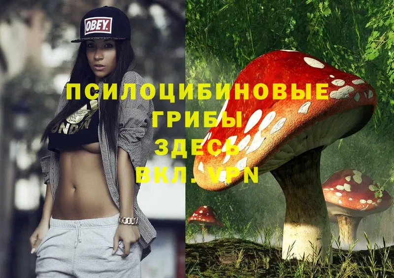 блэк спрут ССЫЛКА  Новопавловск  Псилоцибиновые грибы Magic Shrooms 